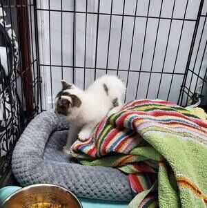 Meet your Posher, Alana